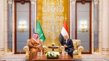 وزير الدفاع السعودي يلتقي برئيس مجلس القيادة الرئاسي اليمني