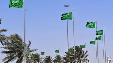 السعودية تفوز بعضوية المجلس الاقتصادي والاجتماعي 