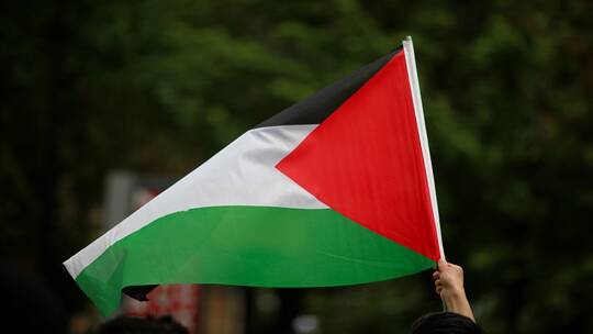 الإمارات: التصويت الأممي بشأن منح فلسطين العضوية الكاملة 