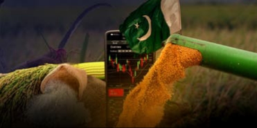 خطط سعودية للاستثمار الزراعي في باكستان