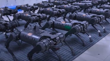 الخيال العلمي بات واقعاً.. فيديو لجيش صيني من الكلاب الآلية الفتاكة!
