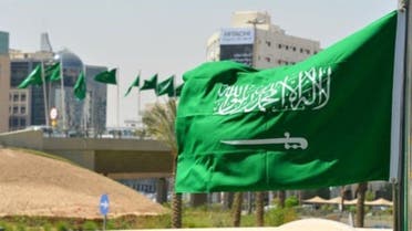 اختيار السعودية لترؤس لجنة وضع المرأة في الأمم المتحدة لعام 2025