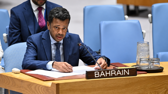 دول الخليج تدعو إلى تعزيز دور الأمم المتحدة في مناقشة استخدام "الفيتو"